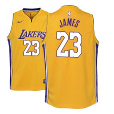 Youth NBA 2018-19 LeBron James Los Angeles Lakers #23 Icon Edition Gold Jersey