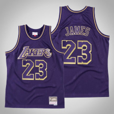 Los Angeles Lakers LeBron James #23 Purple 2020 CNY Swingman Mitchell & Ness Throwback Jersey